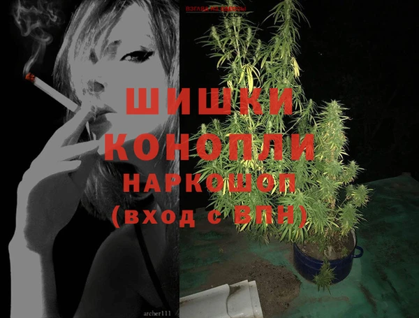 сатива Абинск