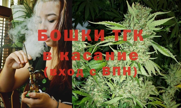 сатива Абинск