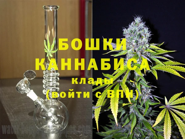 сатива Абинск