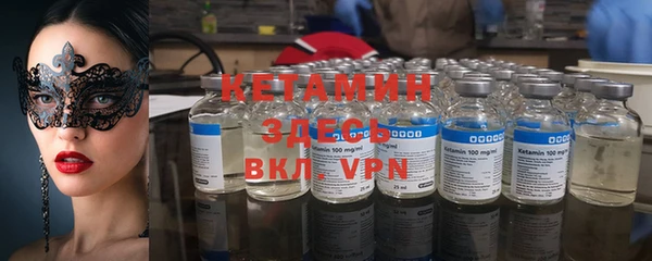 сатива Абинск