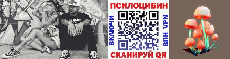 Псилоцибиновые грибы GOLDEN TEACHER  купить наркотик  Энем 